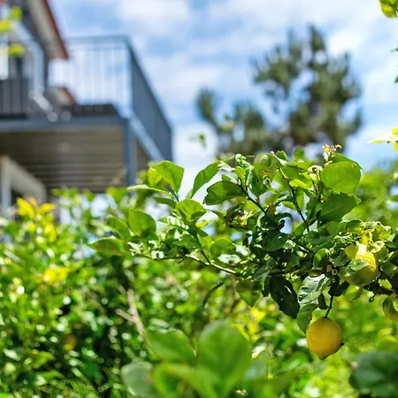 Refugio Do Lourinho Semesterbostad