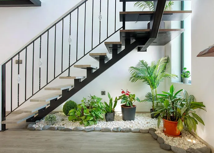 Refugio Do Lourinho Calheta (Madeira)